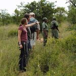 Machampane-walking-safari